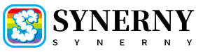 SYNERNY GROUP INC 